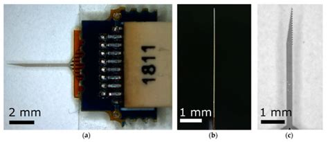 Chronic Intracortical Recording and Electrochemical Stability of Thiol ...