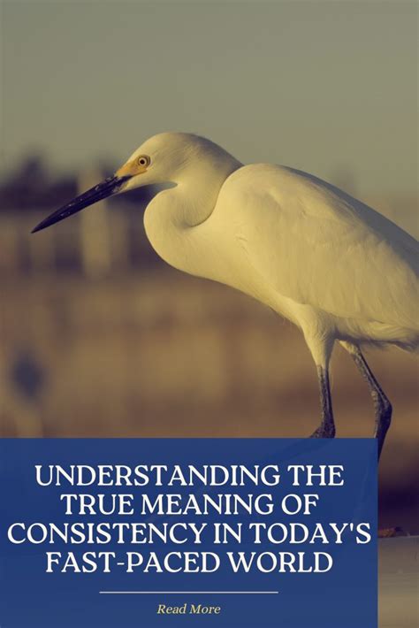 Consistency Meaning 的图像结果