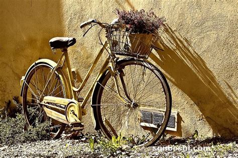 梦到了自行车不见了是凶兆还是吉兆_周公解梦