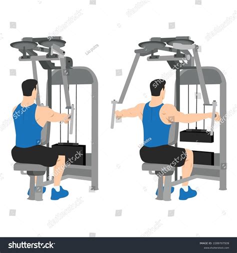 Man Doing Rear Delt Machine Flyes Stock Vector (Royalty Free ...