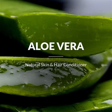Experience The Power of 100% Pure Aloe Vera Gel with Vitamin E - Unlock ...