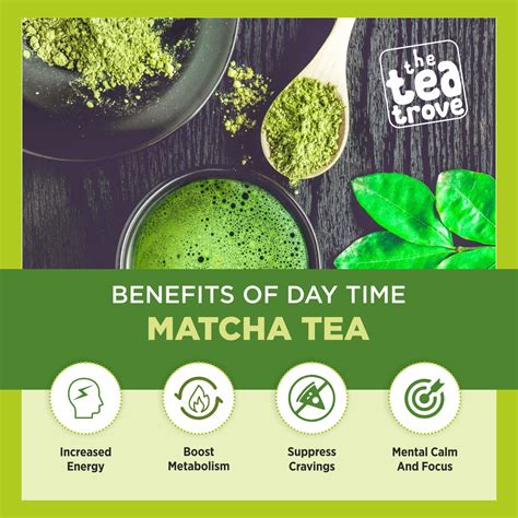 The Tea Trove Superbrew Keto Matcha Probiotic Drink Mix with ...