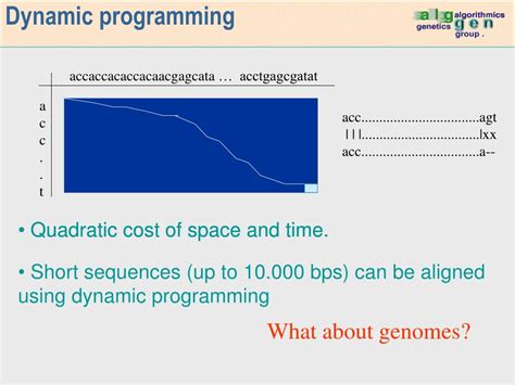 Dynamic Programming Bioinformatics 的图像结果
