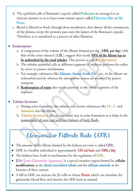 Excretory Products And Their Elimination Class 11th | PDF