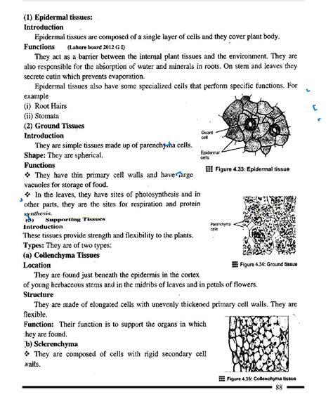 Image result for Notes Alan Class 9 Bio