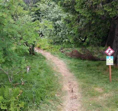BIKEPARK GROSSER FELDBERG - All You Need to Know BEFORE You Go 2026 ...