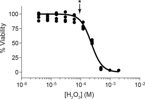 Calorimetry of H2O2 Reactions | Intro & Theory