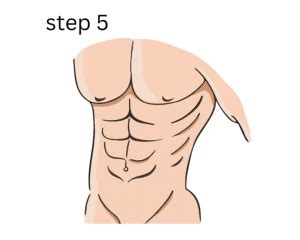 Image result for Draw Abs for Beginners