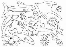 ausmalbilder zum ausdrucken kostenlos fische malvorlagen zum ausmalen ausmalbilder fische gratis 1 ausmalbilder zum ausdrucken kostenlos fische malvorlagen zum ausmalen ausmalbilder fische gratis 1
