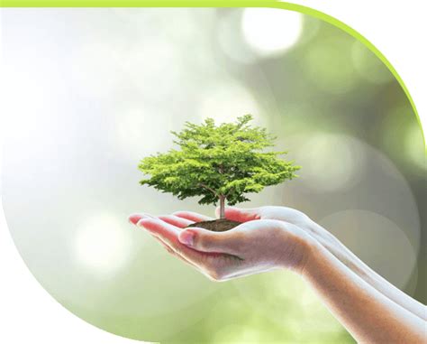About Us - Cleantech Emersol Private Limited