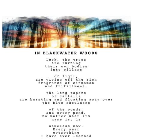 In Blackwater Woods by Mary Oliver Wall Art, Bucolic, Gift Idea for Her ...