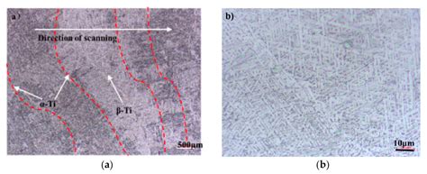 The Influence of Heat Treatment Temperature on Microstructures and ...