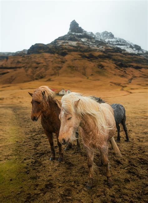 Iceland in Autumn: A Complete September & October Travel Guide