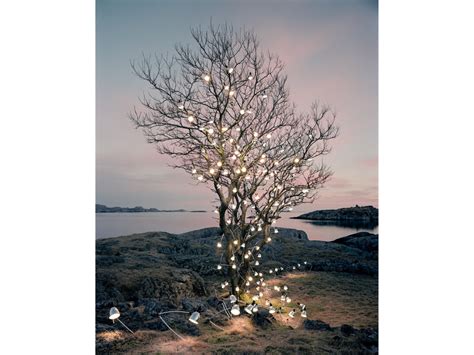 Rune Guneriussen, The heirs motivational speech, 2013, C-print, Edition ...