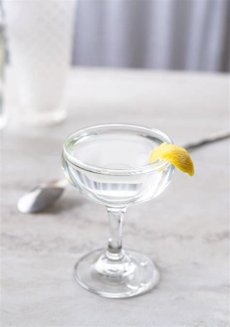 Classic Gin Martini | Recipe | Martini recipes, Gin cocktail recipes, Gin