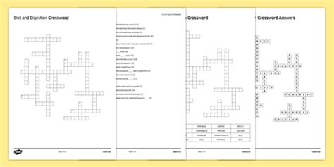 Diet and Digestion Crossword | KS3 Biology | Beyond