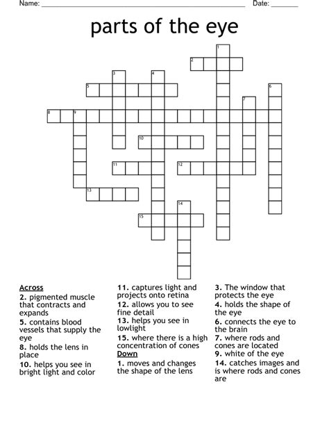 parts of the eye Crossword - WordMint