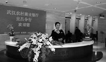 年度报告 - 武汉农村商业银行