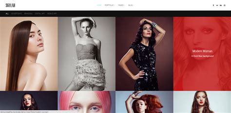 Website Examples 的图像结果