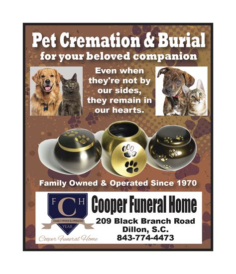 Dillon District Four School Board - The Dillon County News, LLC