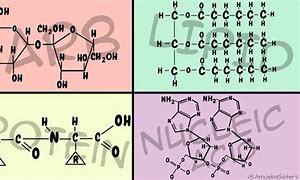 Image result for biomolecules