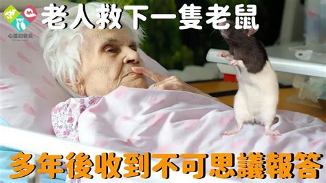 老人救下一隻老鼠，多年之後老人病重，你不敢相信老鼠是怎樣報答她的