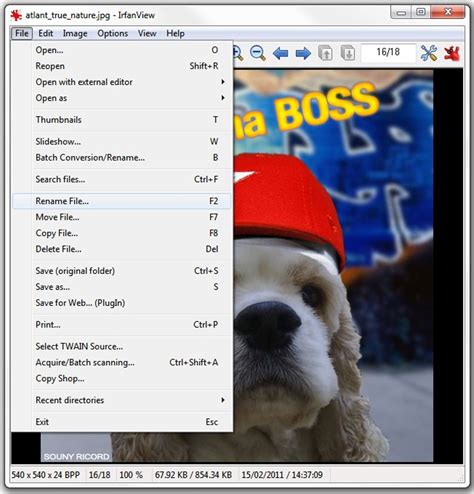 IrfanView Software 的图像结果