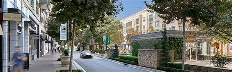 Things to Do in Alpharetta | EVEN Hotel Alpharetta-Avalon Area