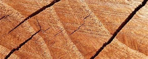 图文解析四种木材的切割方式及其花纹特点、作品欣赏【批木网】 - 木业大全 - 批木网