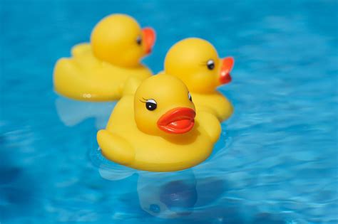 Rubber Ducky Day - Volontariat