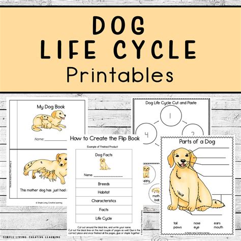 Dog Life Cycle Printables - Simple Living. Creative Learning