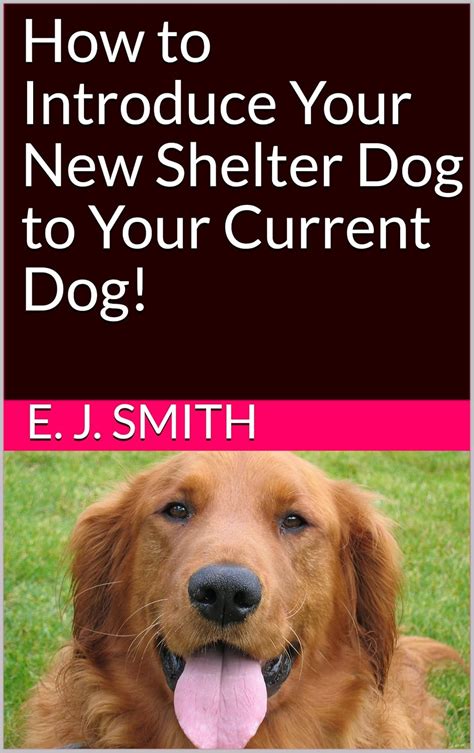 How to Introduce Your New Shelter Dog to Your Current Dog! eBook ...