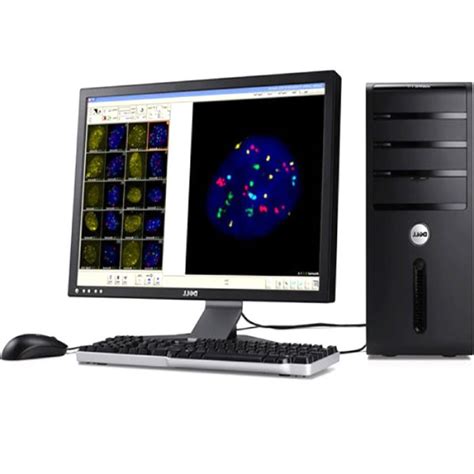 Free Digital Microscope Software 的图像结果