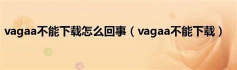 vagaa是干嘛用的（vagaa怎么用）_新时代发展网