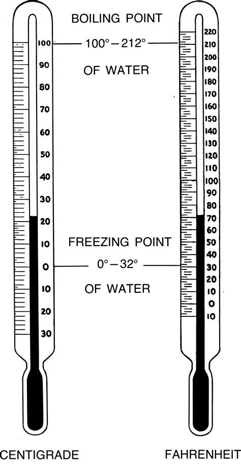Freezing Point of Water | Science Anchor Charts