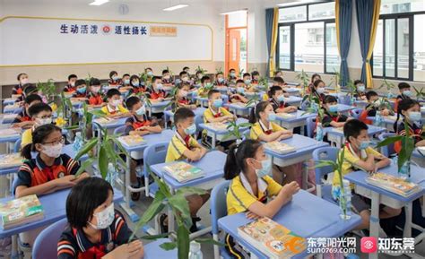 提供3000个学位！东莞又迎来两所新学校，位置就在…_腾讯新闻