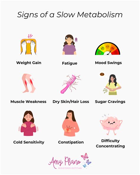 9 Signs of a Slow Metabolism: Is Your Metabolism Affecting Your Weight? - Amy Plano