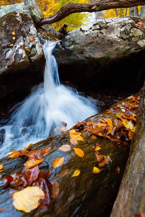 Shenandoah Gem: A Guide to Hiking the White Oak Canyon Trail