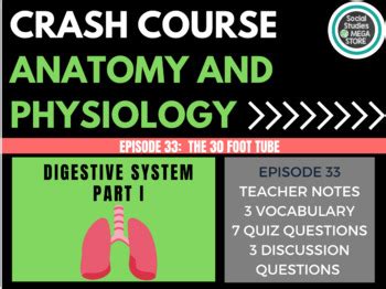 Digestive System Crash Course 的图像结果