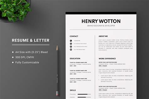 Resume Template Bundle, 800+ Designs, Instant Download, Word, Photoshop ...
