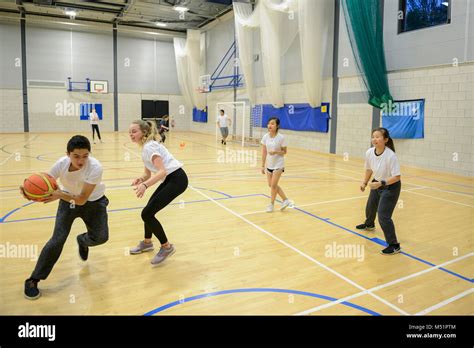 Sports School 的图像结果