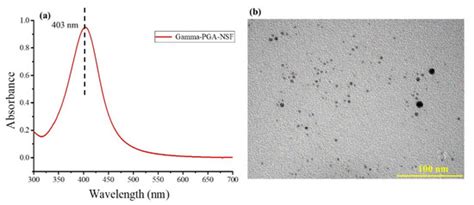 An Insight into Nano Silver Fluoride-Coated Silk Fibroin Bioinspired ...