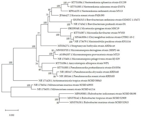 The Diversity of Deep-Sea Actinobacteria and Their Natural Products: An ...
