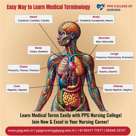 PPG college of Nursing | Nursing school is tough, but you've got this ...