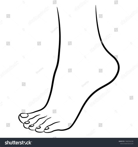 Foot Drawing 的图像结果