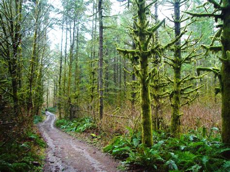 Lord Hill Regional Park Trail - Snohomish County, WA