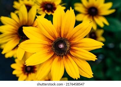 Image result for Basic Machine Learning Application Design Sample