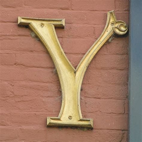 Image result for Y Is a Function of X Examples