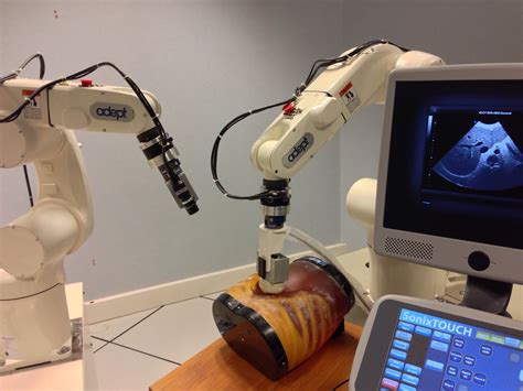 Vi Remote Robot 的图像结果