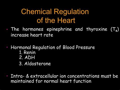 Animation Cardiac Output 的图像结果